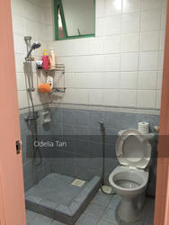 The Sunny Spring (D14), Apartment #124724212